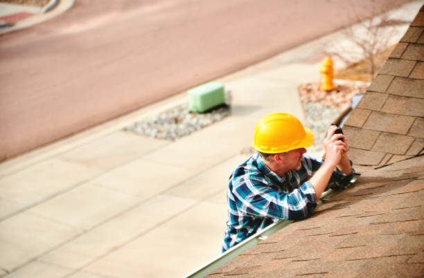 Roof Gutter Cleaning in Lake Crystal, MN