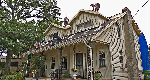 Best Storm Damage Roof Repair  in Lake Crystal, MN